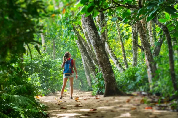 Hiking Costa Rica's stunning rainforests
