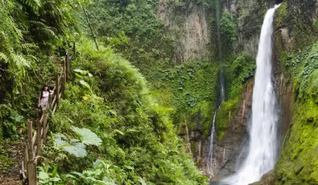 Visit the lush jungle and stunning waterfalls