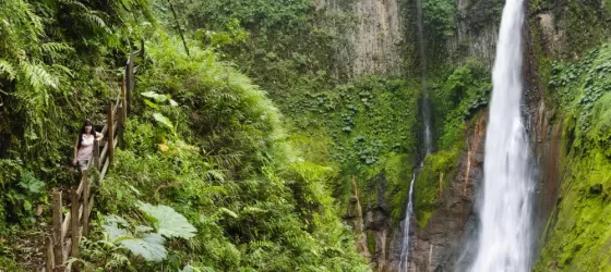 Visit the lush jungle and stunning waterfalls