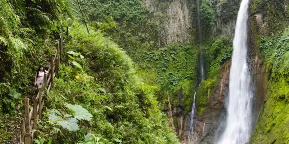 Visit the lush jungle and stunning waterfalls