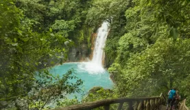 Discover stunning waterfalls in the jungle