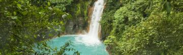 Discover stunning waterfalls in the jungle