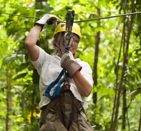 Zipline tours through the rainforest