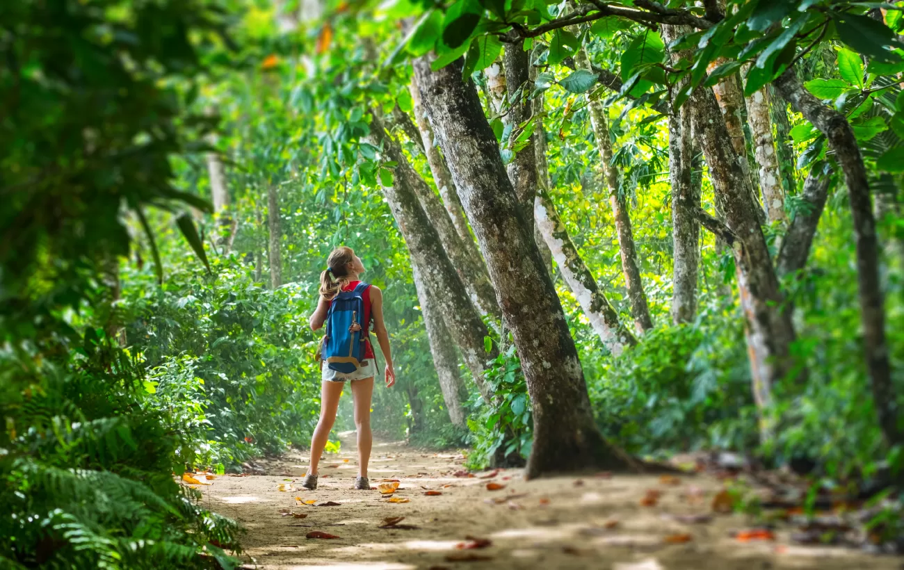 rainforest tours costa rica