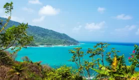 Bright blue waters of the Caribbean sea
