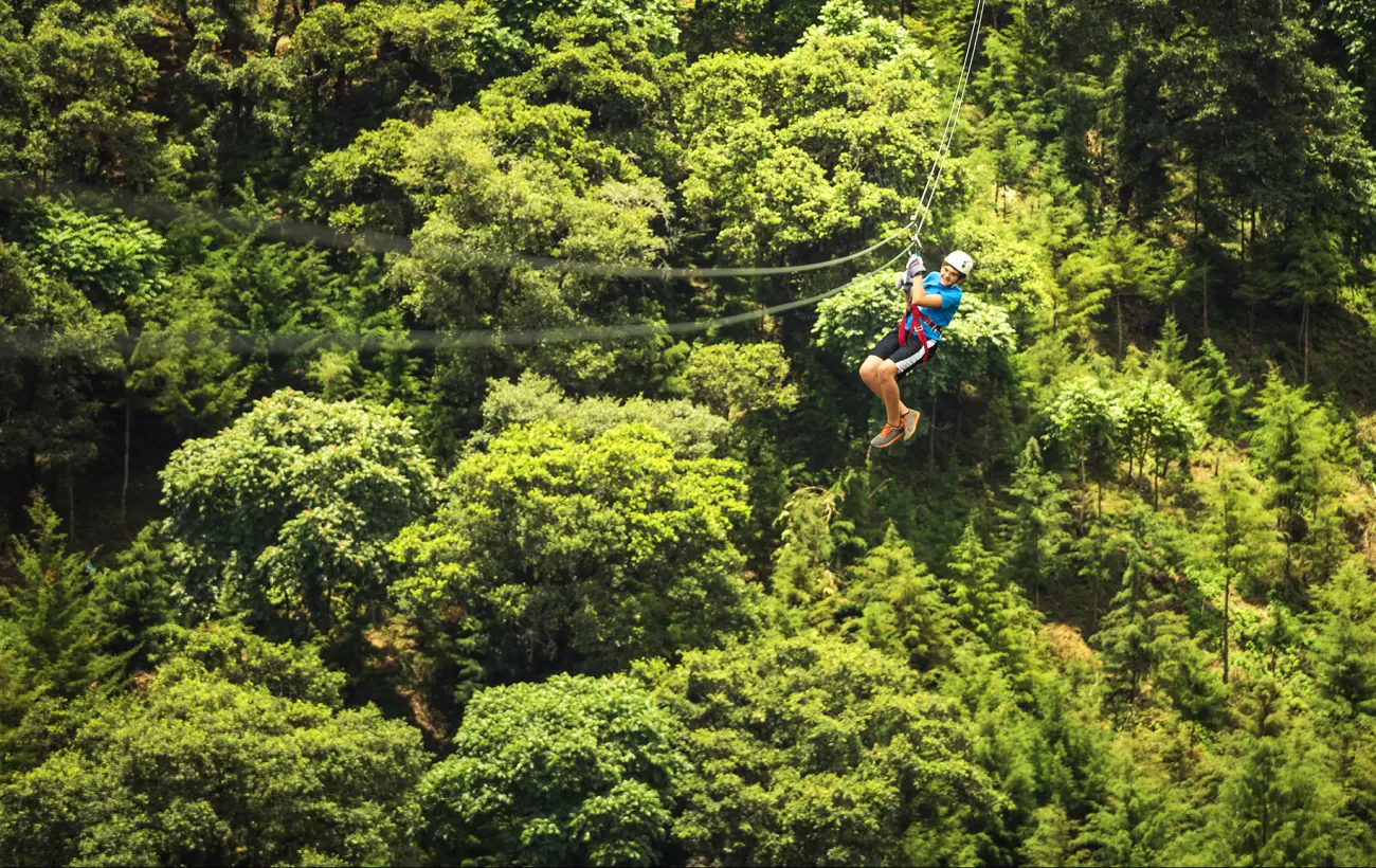Zipline through the rainforest canopy