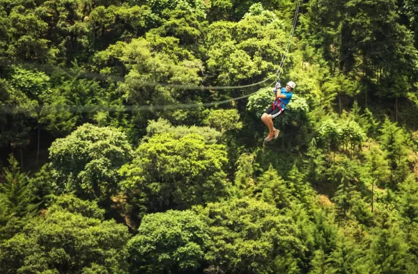 Zipline through the rainforest canopy