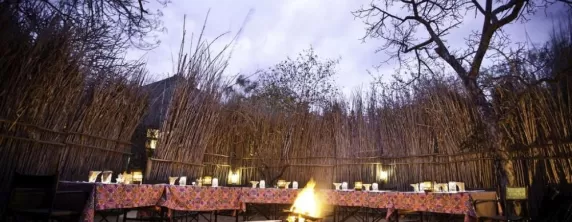 Sausage Tree Camp