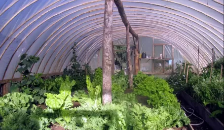 The Bio-Bio greenhouse