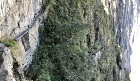 Inca bridge