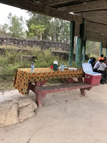Picnic lunch during the Mountain Pine Ridge excursion