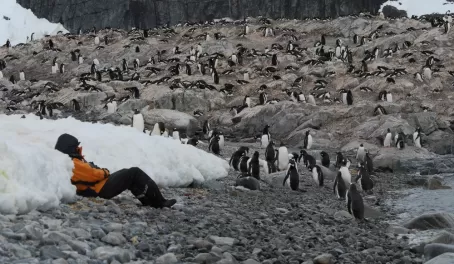 Hanging out with the penguins