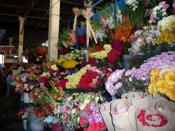 Beautiful floral arrangements at the local San Pedro Market 