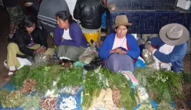 Indigenous women selling medicinal plants at San Pedro marke