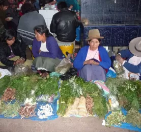 Indigenous women selling medicinal plants at San Pedro marke