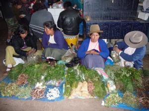 Local Peruvian women selling medicinal plants