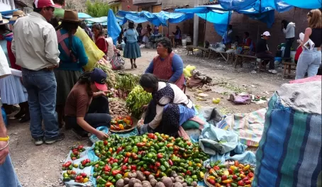 Local vegetable vendors at Urubamba local market