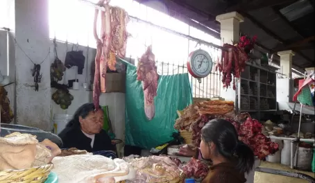 Meat vendors selling innards, tongues, bull penuses, etc. 