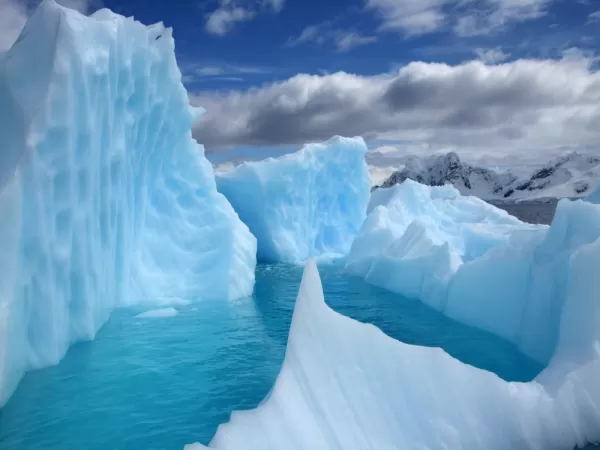 the different shades of blue were amazing