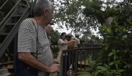 Spotting birds from the Kapok Tree stand