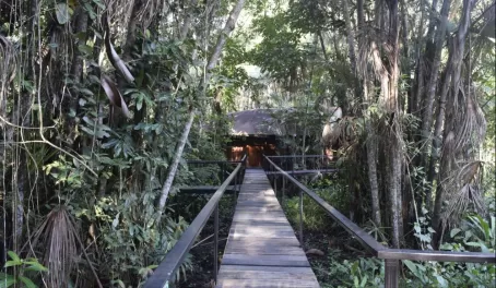 Boardwalk to my cabin