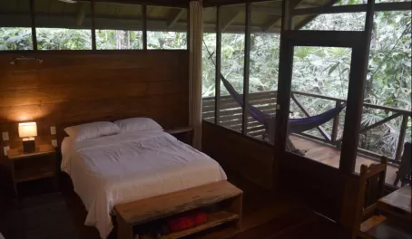 Hotel room at Sacha Lodge, view 2