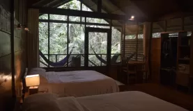 Hotel room at Sacha Lodge
