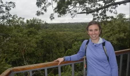 Quite a view from the Kapok Tree