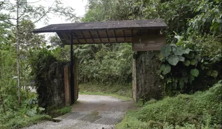 Jurassic Park? No - Welcome to Mashpi Lodge