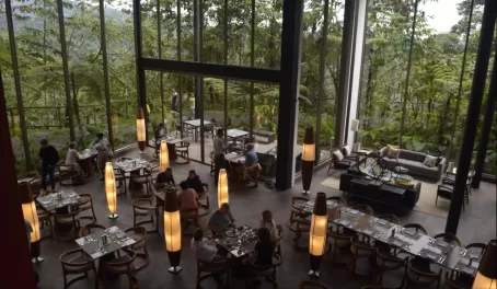 Incredible views from the Mashpi dining room