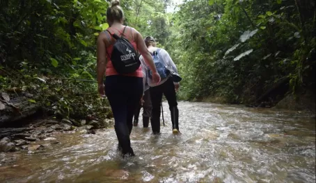 Exploring the Mashpi Reserve