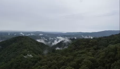 There are always clouds rising from the mountains around Mashpi
