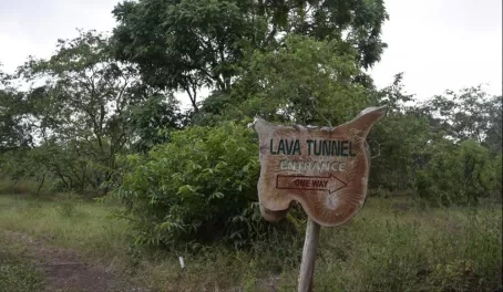 First stop at a reserve, with some unexpected treasures