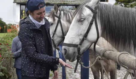 Making friends with one of the horses