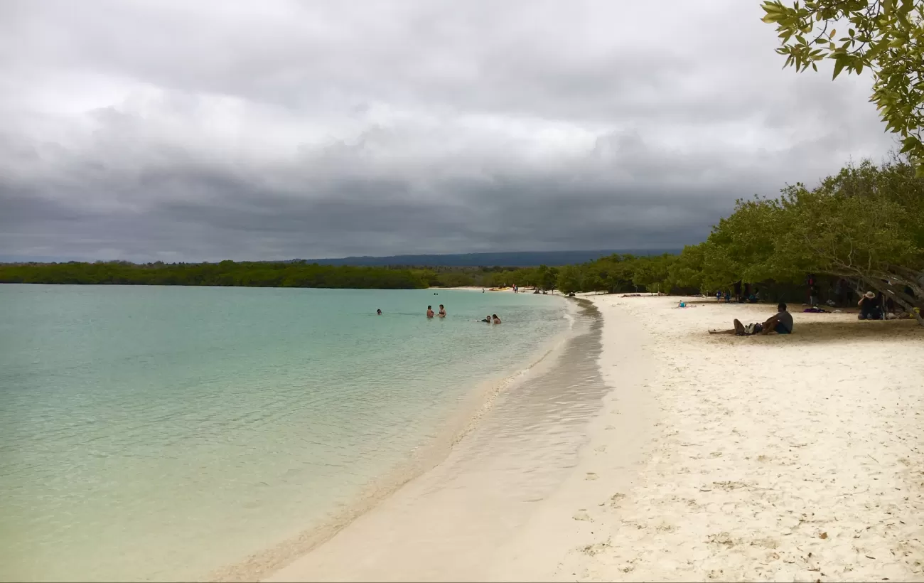 White sand beach at Tortuga Bay