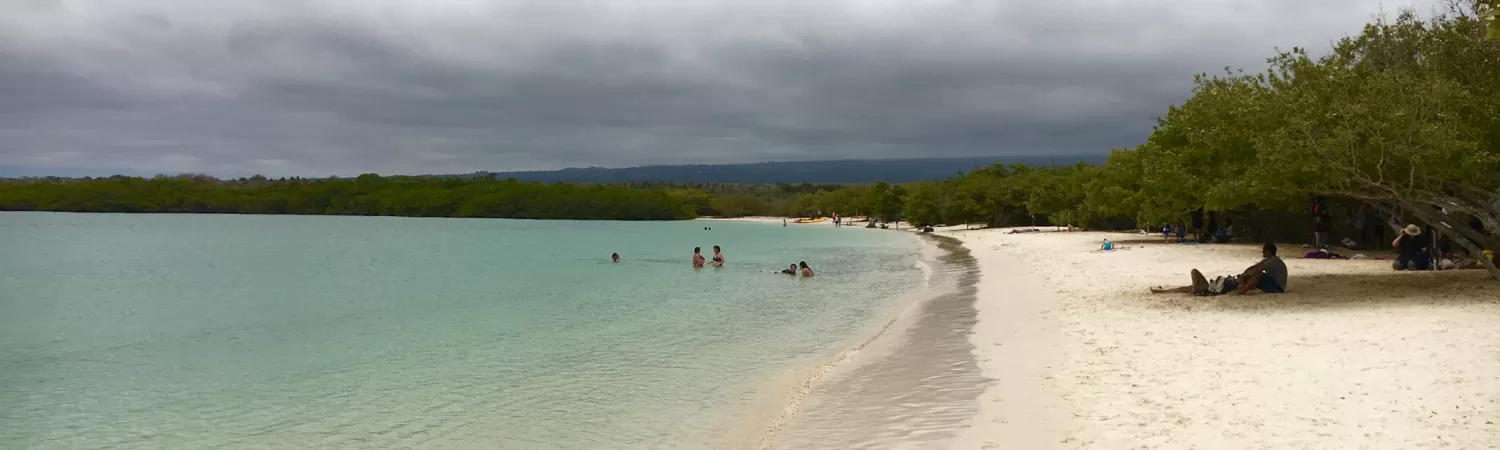 White sand beach at Tortuga Bay