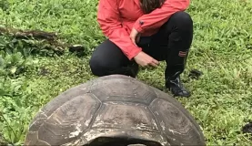 Highlands of Santa Cruz to see tortoises