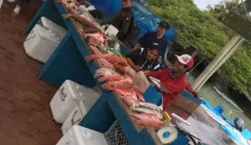 Fish market in Puerto Ayora