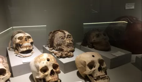 Ancient Peruvian Skulls