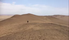 Wandering in the sand