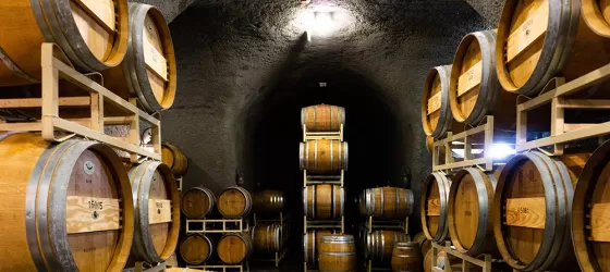 Into the wine caves