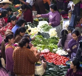 The busy market