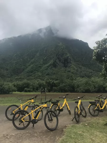 e-bike excursion on Moorea