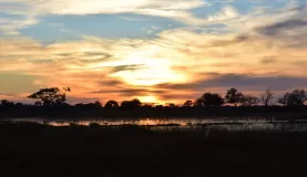 Beautiful Botswanan sunset