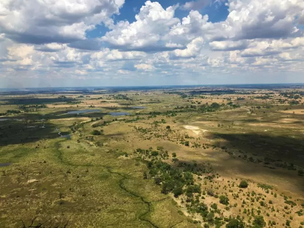 Okavango Delta from the air