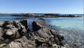 Genovesa: Darwin Bay