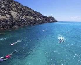 Snorkeling the tropical waters of the Galapagos islands.