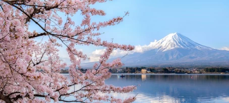 Mt. Fuji framed by Lake Kawaguchiko and cherry blossoms
