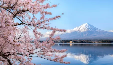 Mt. Fuji framed by Lake Kawaguchiko and cherry blossoms