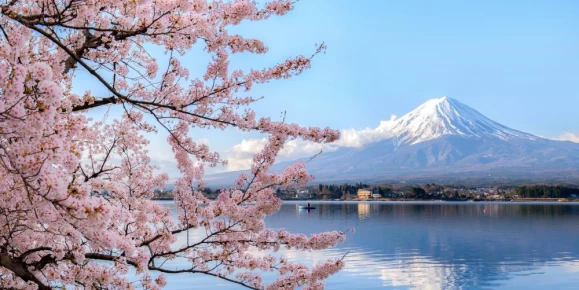 Mt. Fuji framed by Lake Kawaguchiko and cherry blossoms
